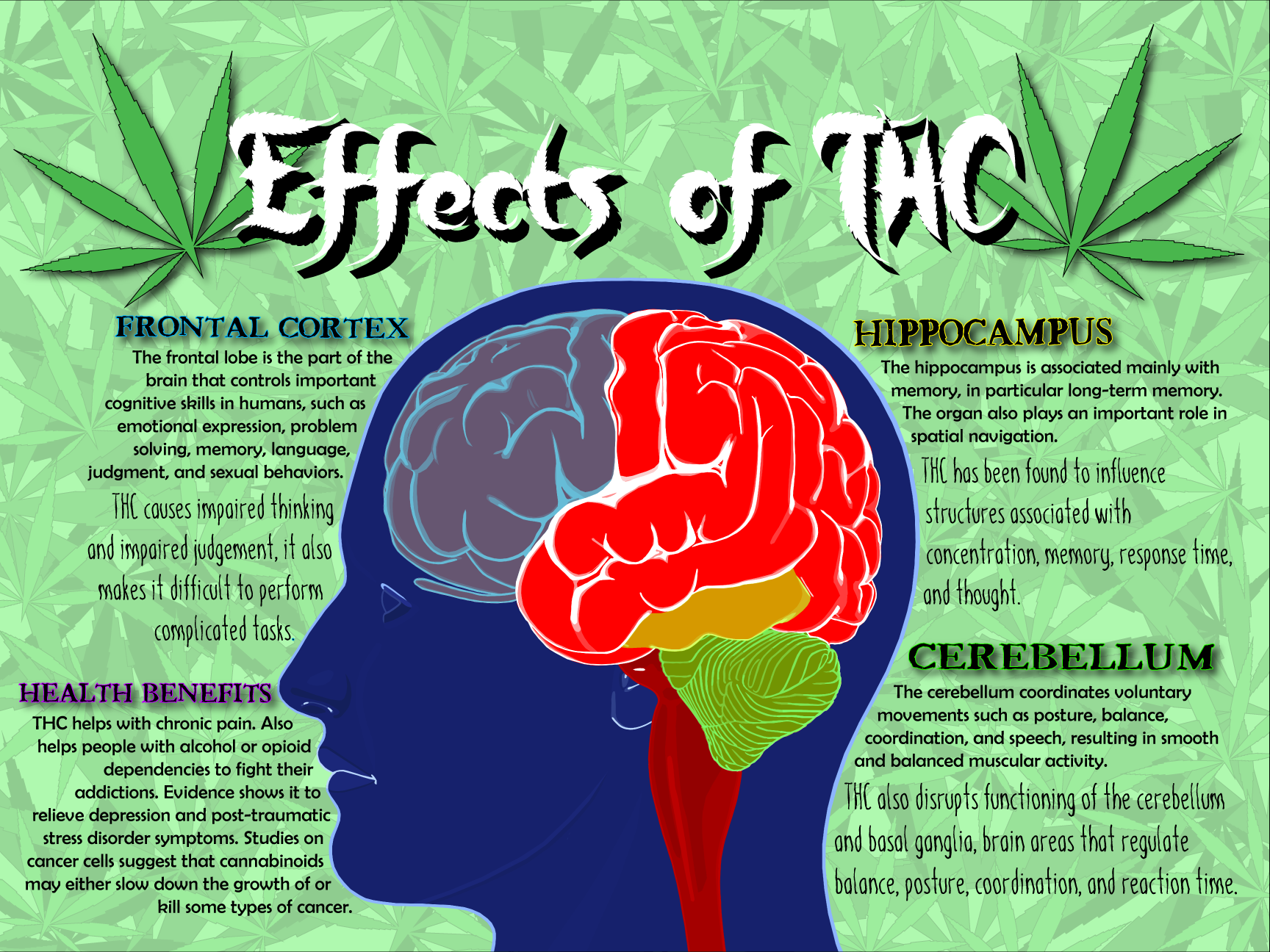 THC Poster